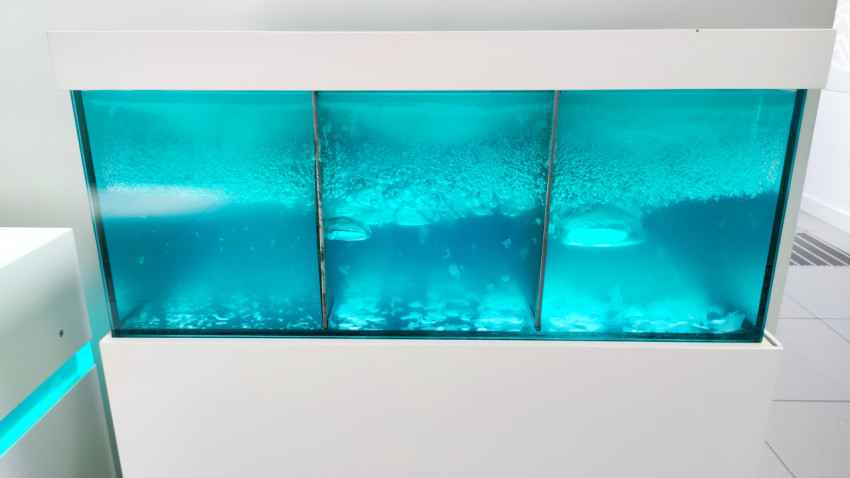 Демонстрационный резервуар этапа водоочистки в Музее городского хозяйства Москвы