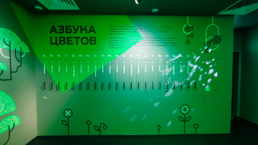 Интерактивная инсталляция «Азбука цветов» в музейной экспозиции