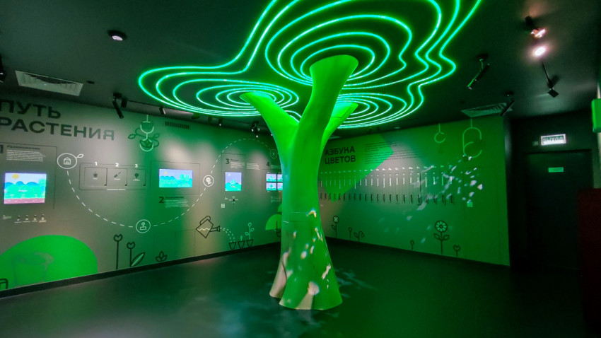 Интерактивная инсталляция «Путь растения» со световым деревом в музее