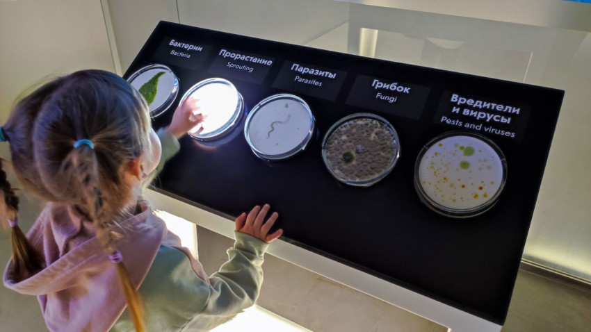 Детское взаимодействие с научной экспозицией о микроорганизмах