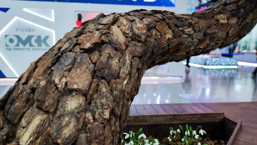 Декоративное дерево с корой и подснежниками на стенде региона