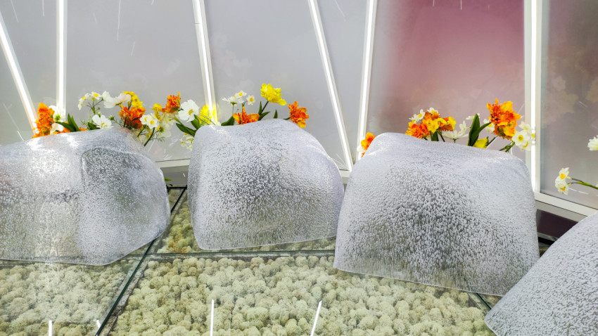 Композиция из декоративных льдин и цветов на региональной экспозиции