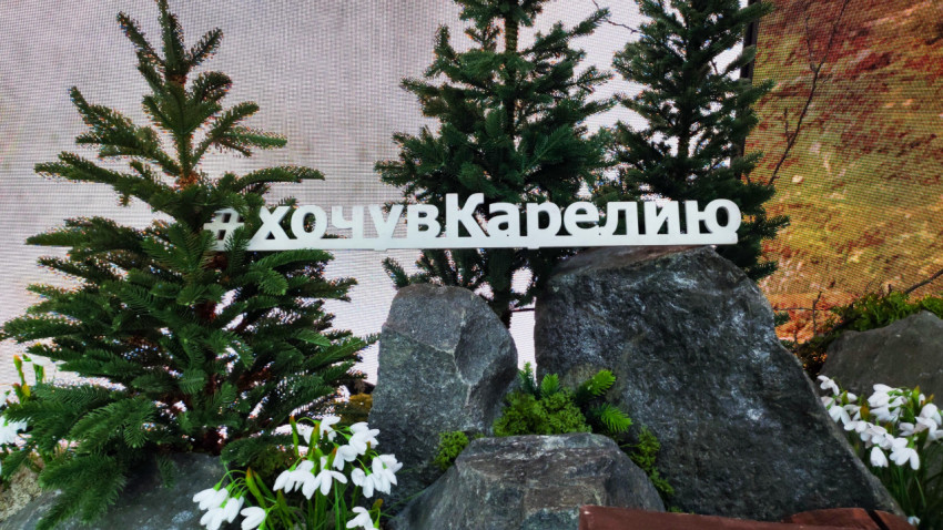 Выставочная инсталляция с надписью «#хочувКарелию» среди камней и хвойных деревьев
