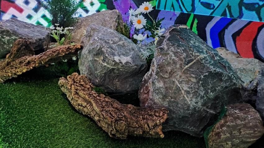 Ландшафтная композиция с камнями и растительными элементами