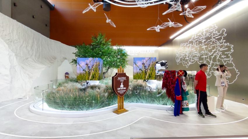 Общий вид экспозиции Белгородской области на ВДНХ