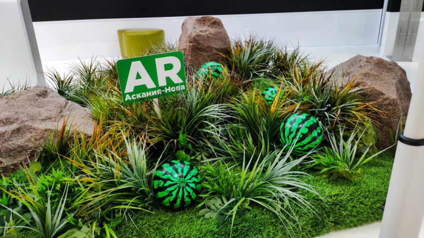 Инсталляция с AR-зоной «Аскания-Нова» на региональном стенде