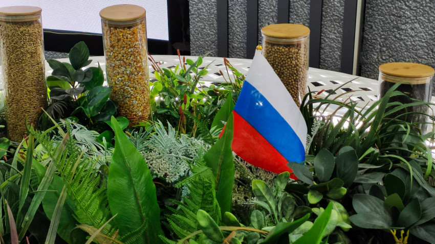 Инсталляция с зерновыми культурами и флагом России