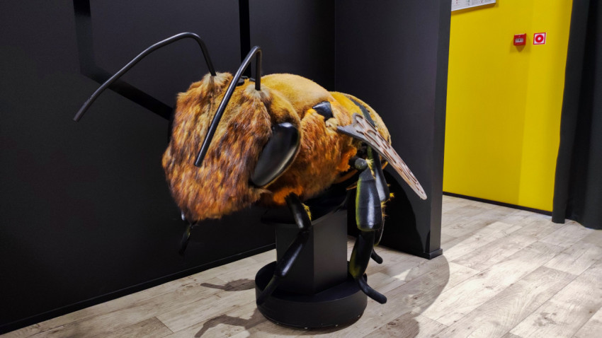 Крупная интерактивная модель пчелы в экспозиционном пространстве