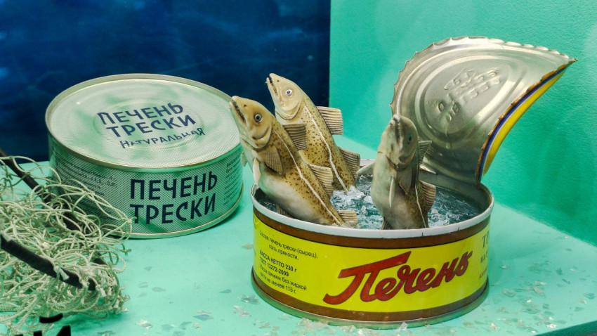Экспозиция рыбной продукции с консервами и морским оформлением
