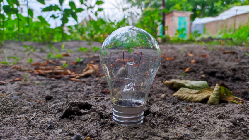 Лампа накаливания, установленная в земле на садовом участке