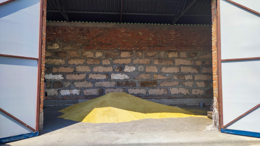 Куча зерна на бетонном полу внутри открытого склада с воротами