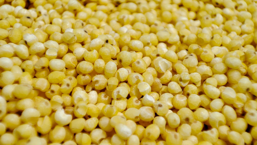 Макросъёмка зёрен пшена с видимой фактурой оболочки и сколов