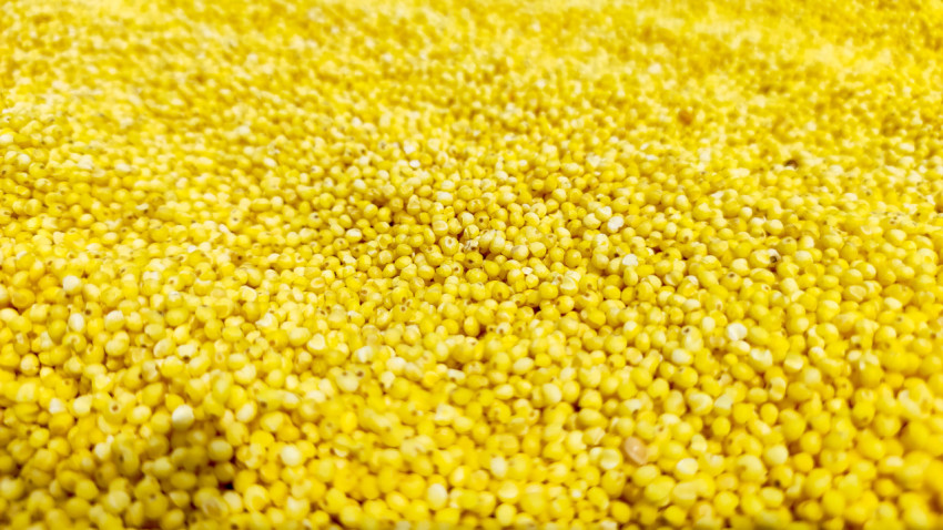 Невысокая горка пшена в перспективе создаёт мягкий объёмный фон из зёрен