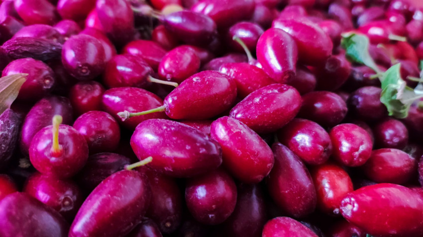 Плотная россыпь ягод кизила как фактурный фон для кулинарии