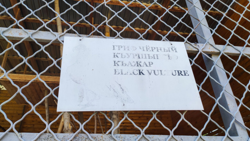 Табличка «Гриф чёрный» на ограждении вольера под навесом