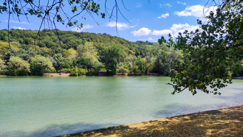 Вид на озеро «Трек» через листву в парке «Атажукинский сад»