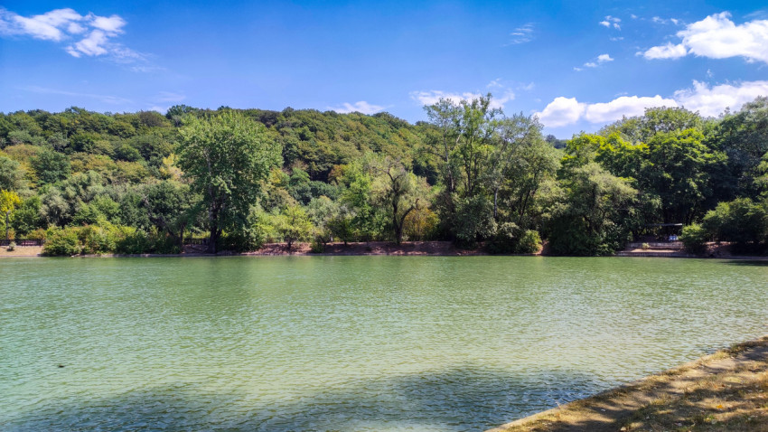 Береговая линия озера «Трек» и зелёный массив парка «Атажукинский сад»