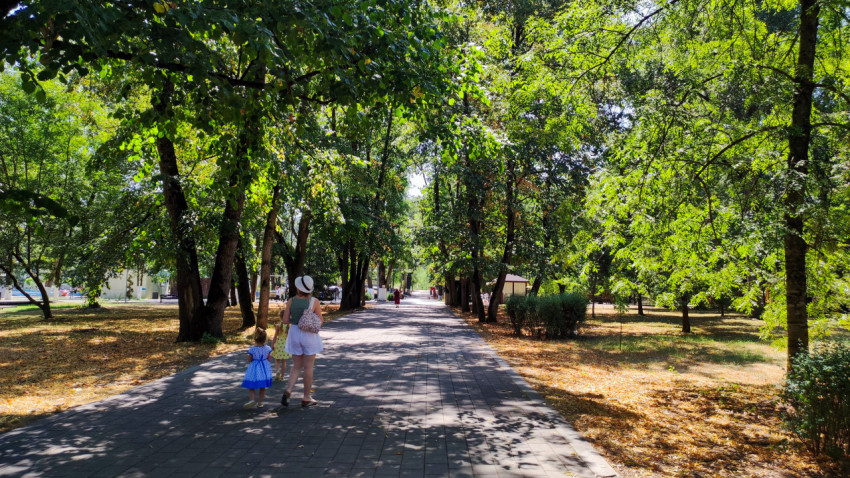 Женщина с двумя детьми идёт по тенистой аллее городского парка