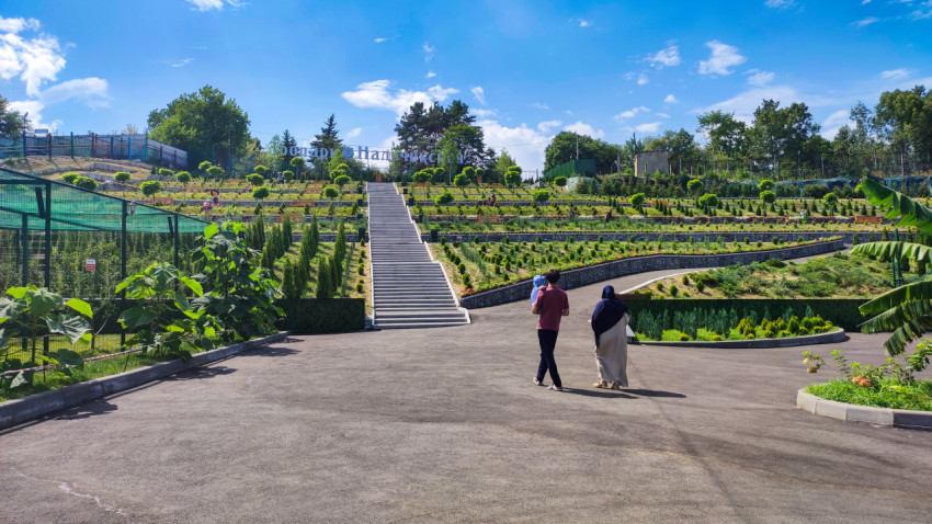 Террасированная лестница и вывеска зоопарка «Сафари-парк Нальчик»