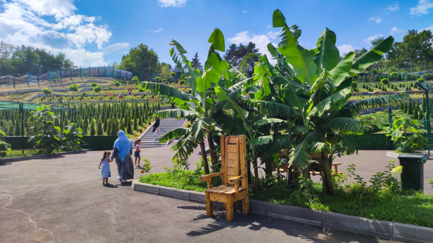 Аллея с банановыми растениями и посетителями на территории зоопарка Нальчика