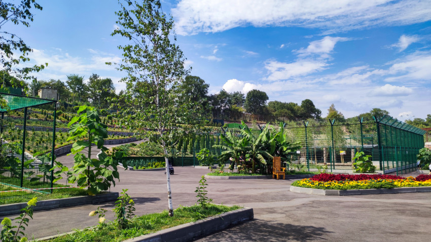 Площадка у вольеров и цветник в Нальчикском зоопарке