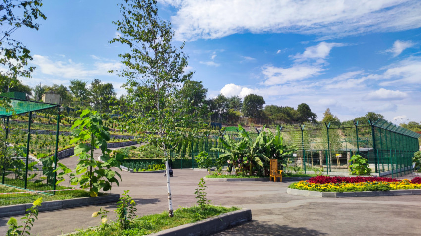 Террасированный склон и сетчатые вольеры Нальчикского зоопарка