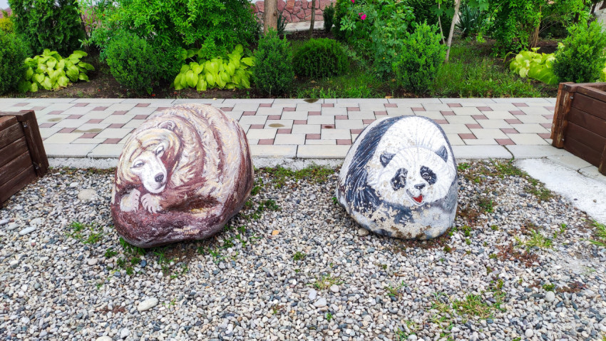 Расписанные камни с изображениями медведя и панды на гравийной площадке
