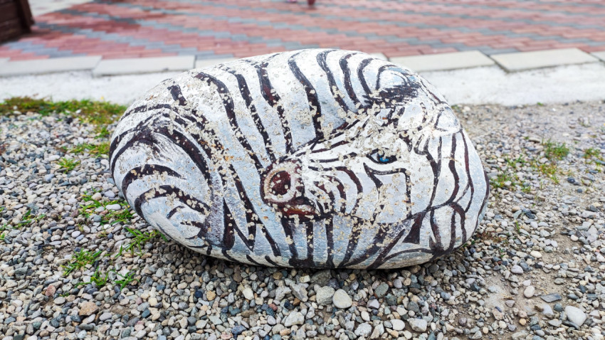 Декоративный камень с росписью под зебру на гравийной площадке