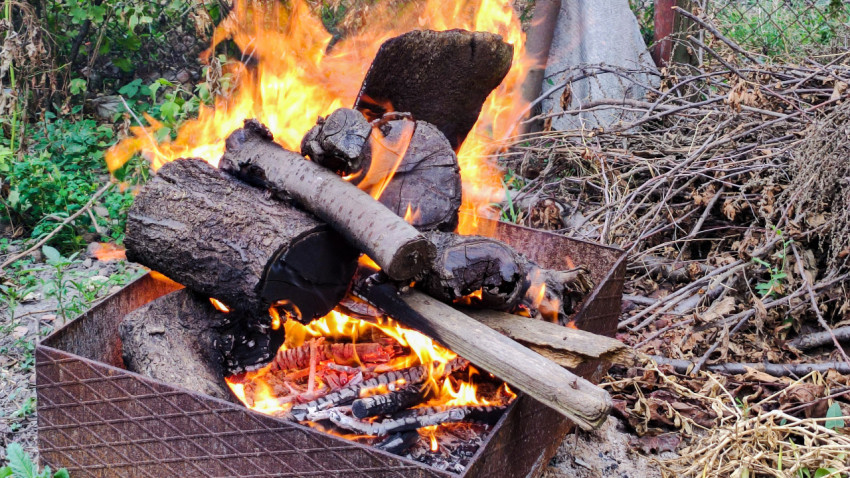 Горящие поленья и угли в жаровне на фоне сухих веток