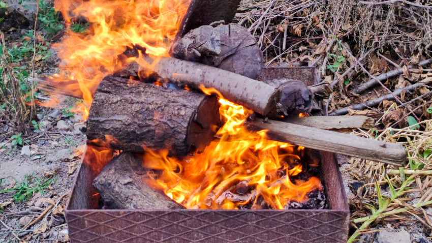 Крупный план пламени и поленьев в металлической жаровне