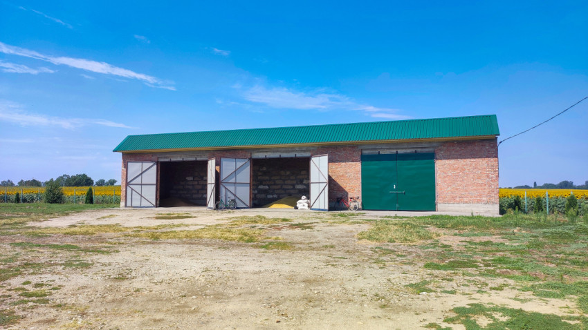 Кирпичный сельскохозяйственный склад с открытыми воротами стоит у поля подсолнечника