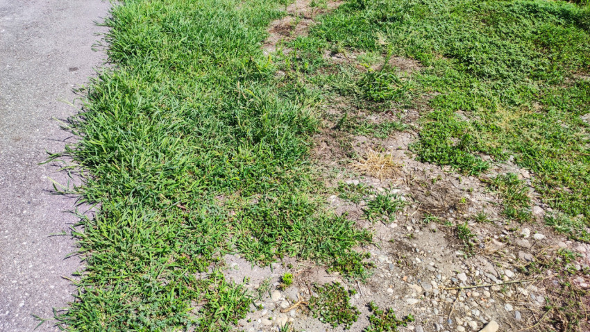 Обочина асфальтированной дорожки с травой и оголённым грунтом