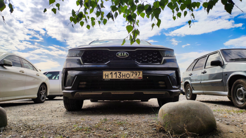 Передняя часть кроссовера Kia на парковке под ветками берёзы