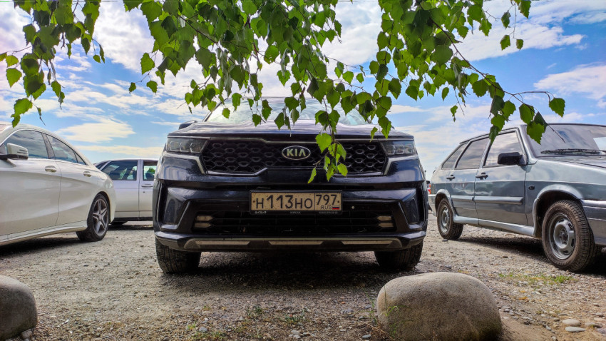 Кроссовер Kia на стоянке под густой листвой дерева