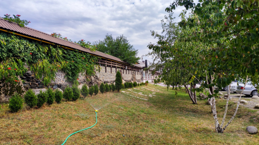 Участок газона и парковка рядом с каменной стеной, покрытой зелёной лианой