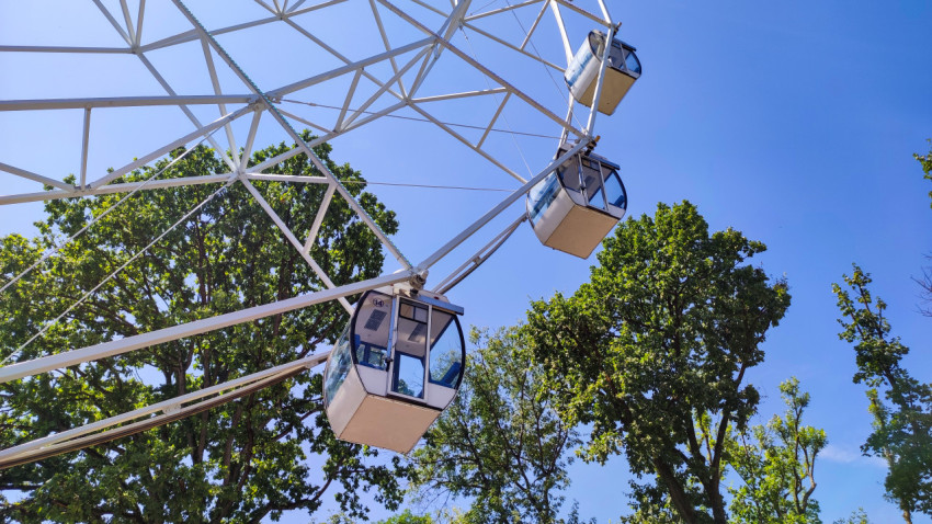 Кабина колеса обозрения на фоне кроны деревьев