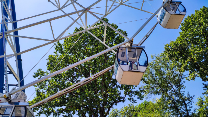 Кабинка колеса обозрения на уровне кроны деревьев в летний день
