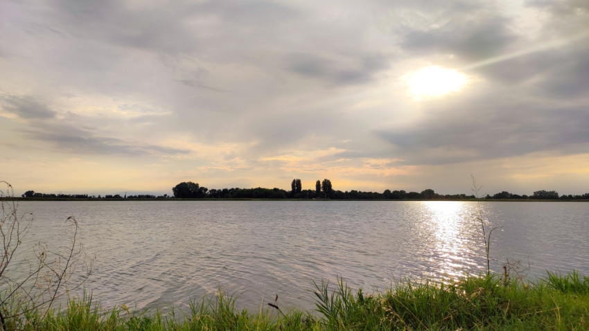 Солнечная дорожка на воде у травянистого берега