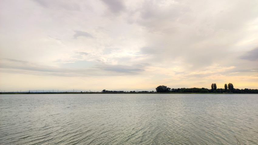 Панорама озера с линией деревьев и мягким вечерним светом