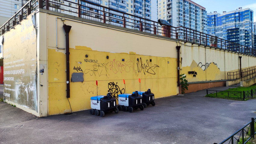 Три маленьких робота-доставщика стоят на тротуаре у стены с граффити