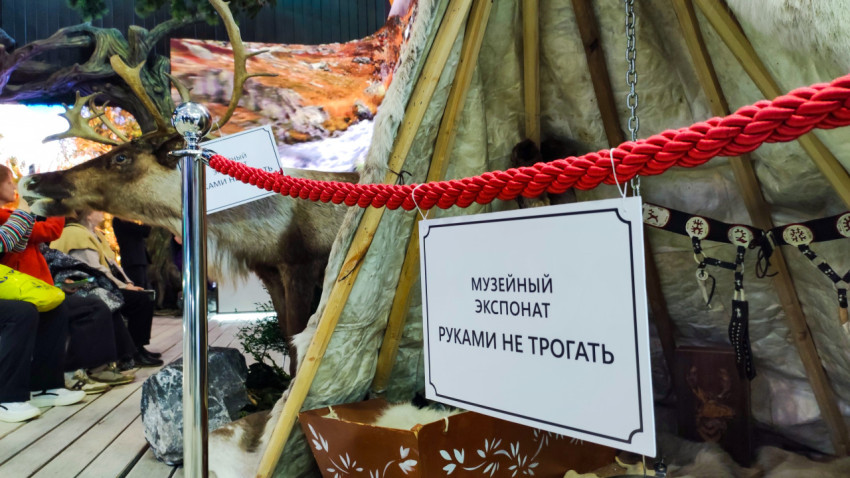 Музейный экспонат руками не трогать