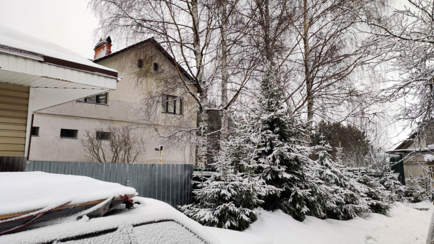 Зимний пейзаж с елями у забора, покрытыми снегом