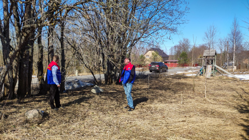 Работники проверяют деревья в парке в ясный день весной