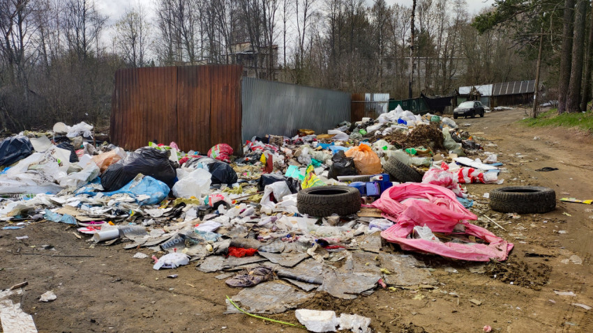 Свалка мусора в лесу недалеко от города