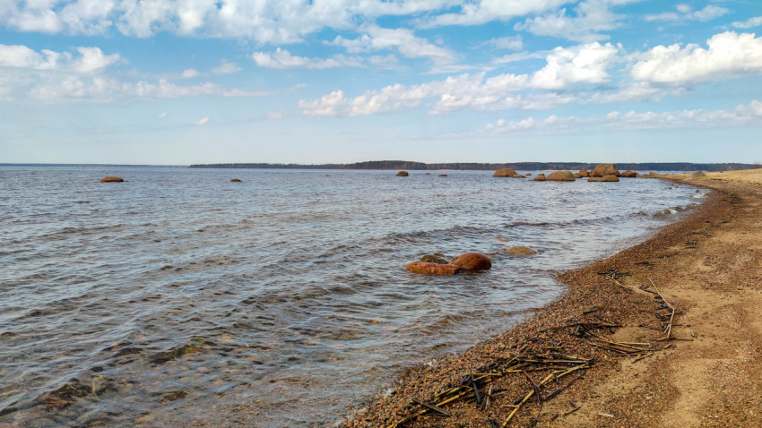 Берег Финского залива с камнями и спокойной водой