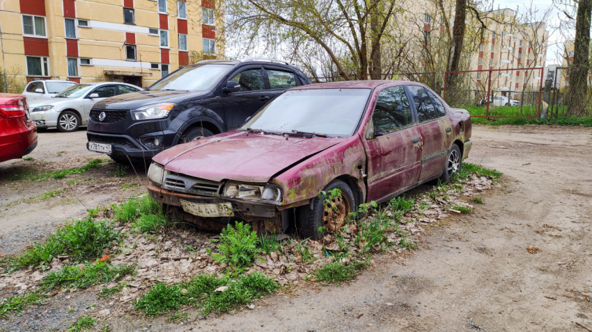 Заброшенный авто, заросший травой