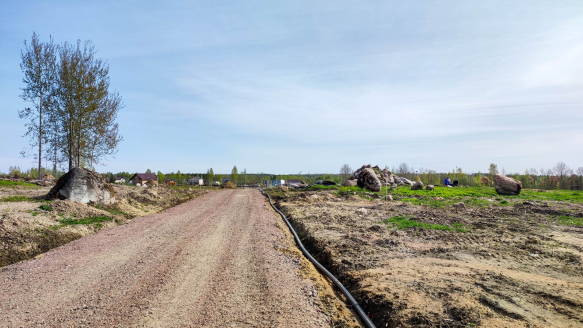 Дорога через поле в сельской местности
