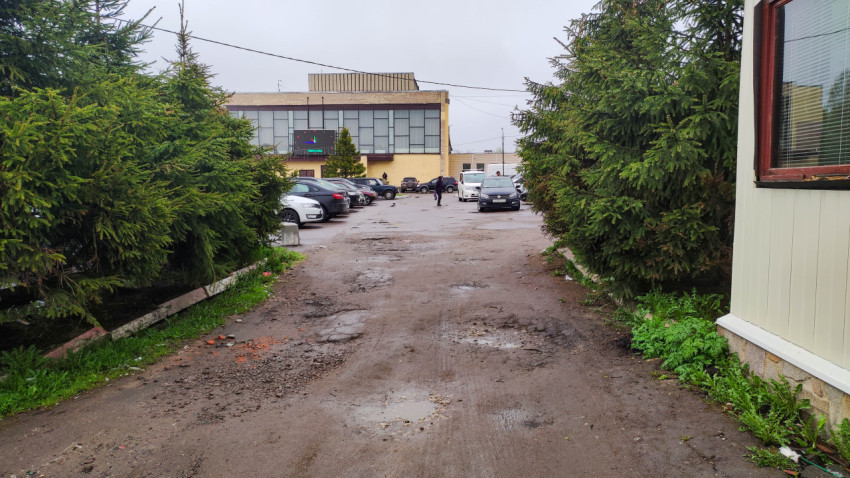 Пейзаж парковки с автомобилями и зелеными деревьями в городе