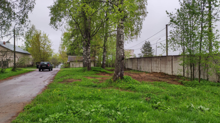 Зеленая улица с автомобилем и деревьями в сельской местности