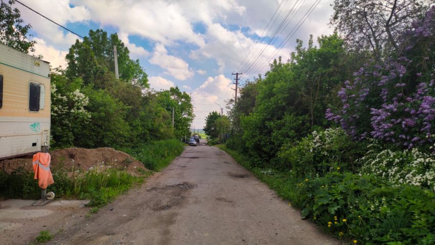 Улица с зеленью и цветами в ясный день на окраине города
